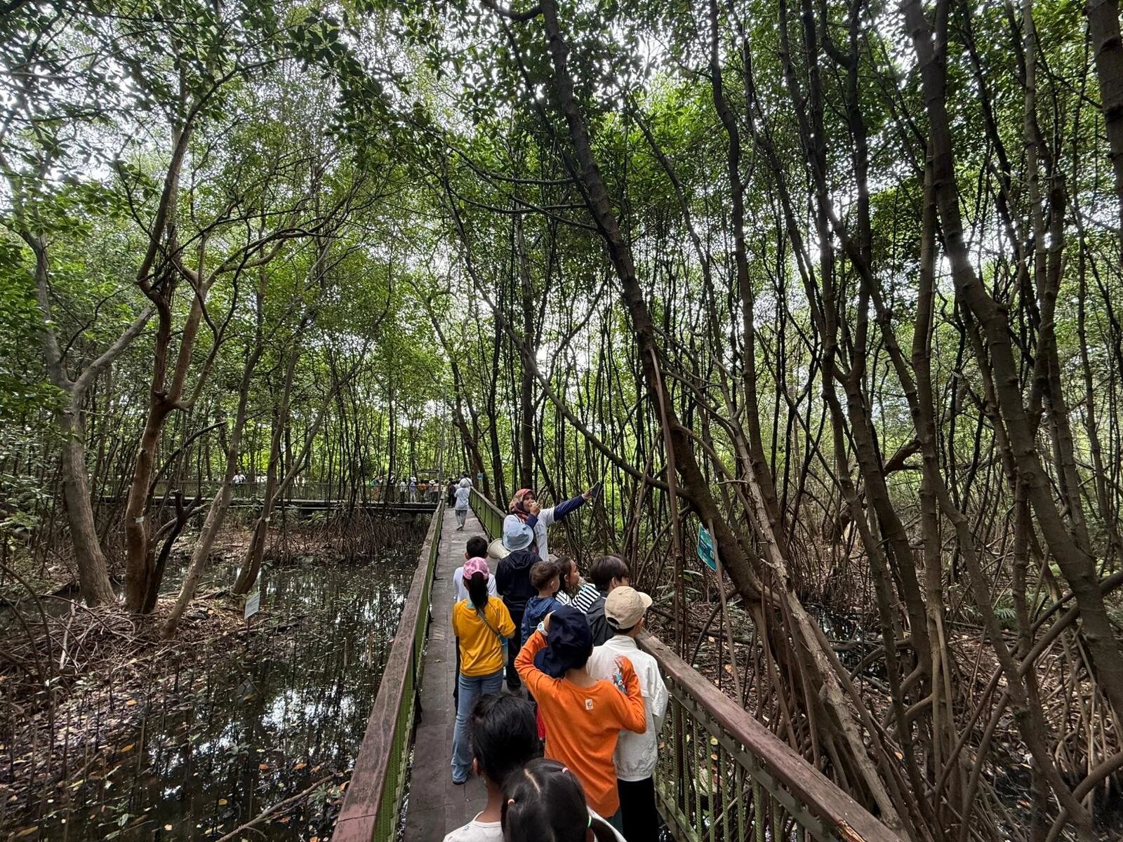 ISJ students planting mangrove saplings during the PIK Bumbi Journey trip