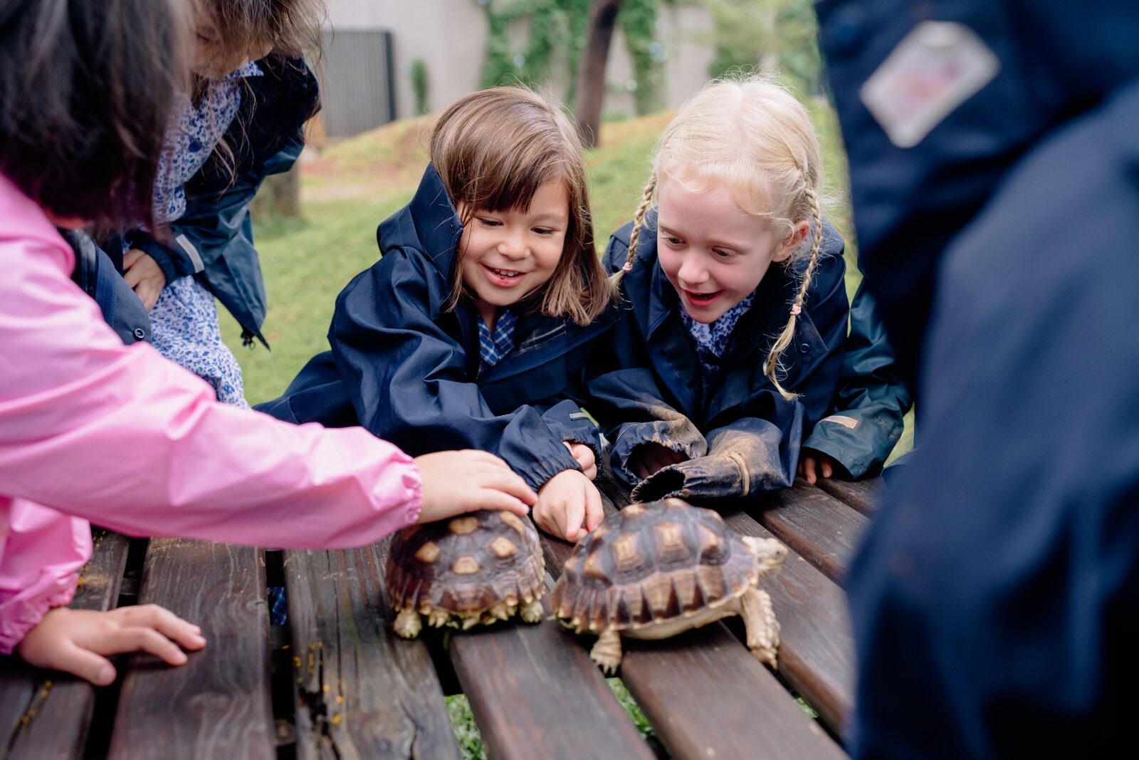ISJ Pre-Prep children meeting tortoises during an outdoor learning session